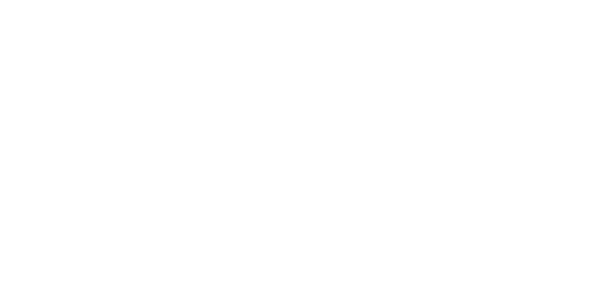 2024 11.29